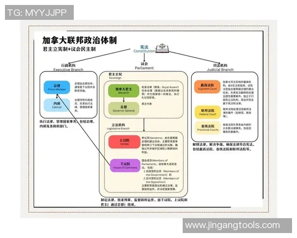 以国王为核心，探讨君主制度下的权力运作与社会变革的互动关系