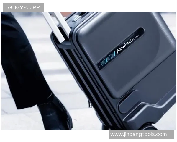 创新设计与智能科技结合，打造多功能时尚箱包，满足现代旅行者需求