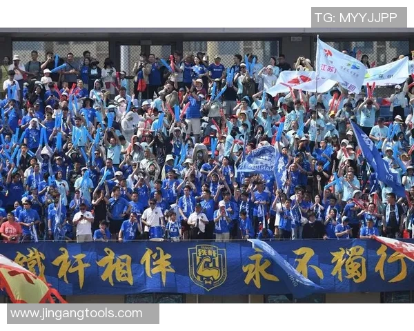 南京飞盘队实力分析与发展潜力的深度探讨与展望