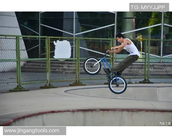 滑板文化的碰撞与融合：深入解析北京滑板队的战术与训练秘诀